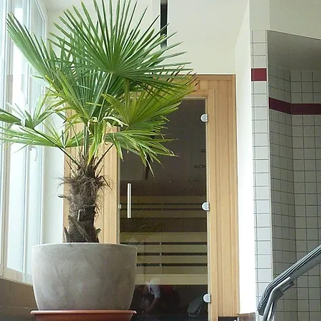 Plaza Premium 4* سالزبورغ